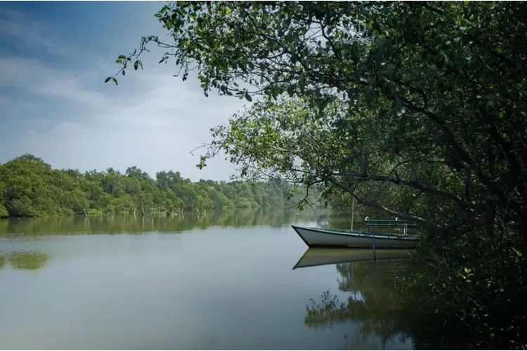 pantai kepetingan sidoarjo